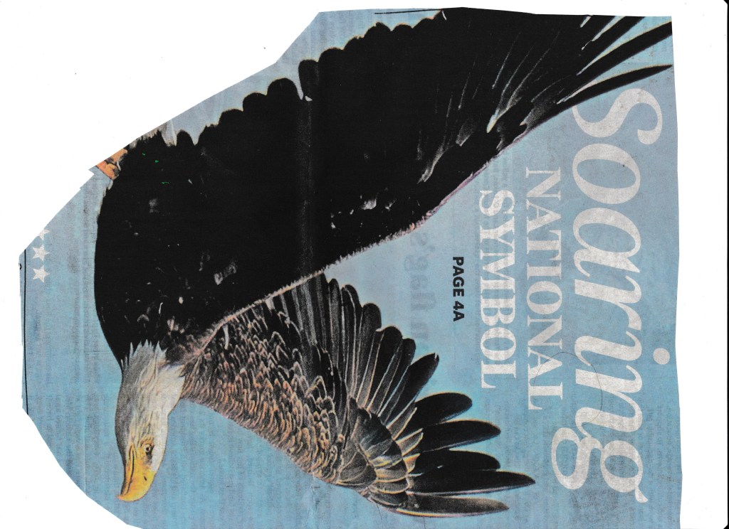 My Spirit’s Soaring&nbsp;Higher